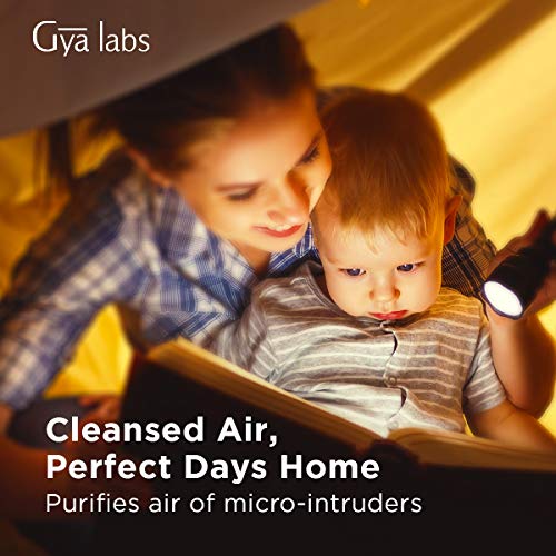 Mezcla de aceite esencial inmune - Grado terapéutico para un sistema corporal saludable, aliviar la congestión nasal y limpiar el aire - Árbol de té, eucalipto, naranja dulce, limón - 10 ml (0.34 oz)