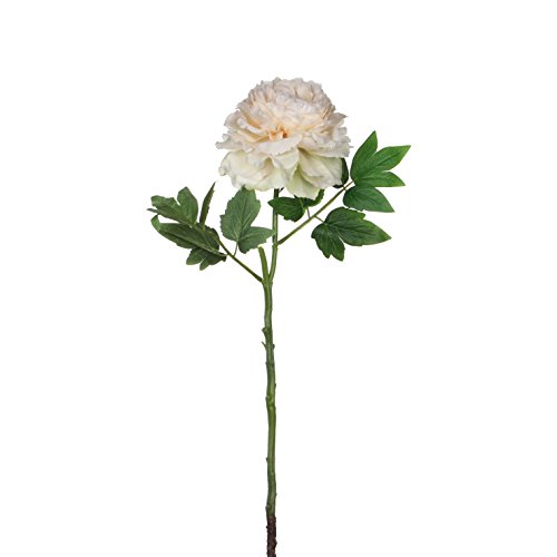 MICA Decorations Peonía de Color Crema 1005723. Altura: 63 cm