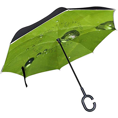 Mike-Shop Nature Dew Drops Paraguas invertido Doble Capa A Prueba de Viento Protección UV Paraguas invertido