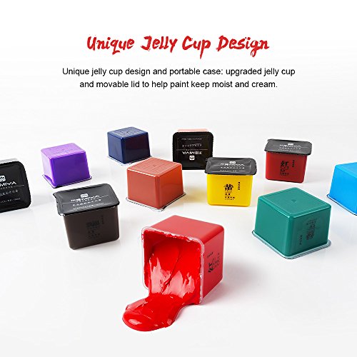 MIYA - Juego de pintura acrílica profesional, 35 colores x 100 ml, estuche portátil con diseño único de gelatina, perfecto para artistas, estudiantes, principiantes
