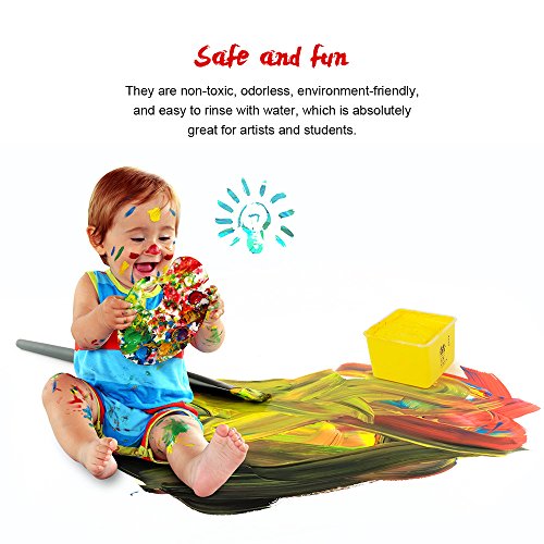 MIYA - Juego de pintura acrílica profesional, 35 colores x 100 ml, estuche portátil con diseño único de gelatina, perfecto para artistas, estudiantes, principiantes