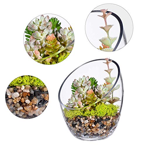 MornBee - Cuenco grande de cristal transparente, 17,5 x 14 cm, maceta de cristal de apertura grande, soporte para plantas de aire de cristal, terrario de vidrio