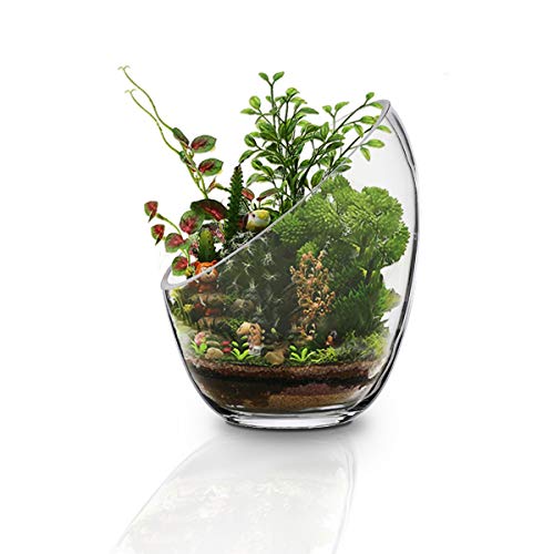 MornBee - Cuenco grande de cristal transparente, 17,5 x 14 cm, maceta de cristal de apertura grande, soporte para plantas de aire de cristal, terrario de vidrio