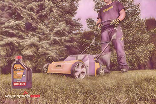 MOTUL 100053 antifricción Garden 4T SAE 30, 2 L