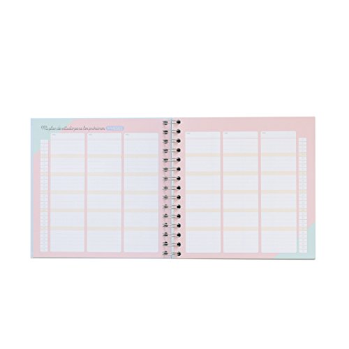 Mr. Wonderful Planificador de Estudio - Mi Master Plan para Que Este Curso salga Genial, Multicolor, 0