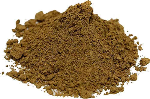 MundoReishi - Reishi 50g puro en polvo micromolido. Producto Clinicamente testado