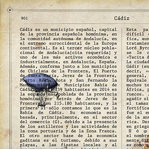 Nacnic Lámina Ciudad de Cadiz. Estilo Vintage. Ilustración, fotografía y Collage con la Historia DE Cadiz. Poster tamaño A4 Impreso en Papel