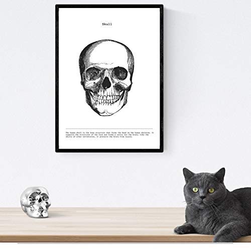 Nacnic Set de 3 Posters de anatomía en Blanco y Negro con imágenes del Cuerpo Humano. Pack de láminas sobre biología con Ojos, Oreja y Cráneo. Tamaño A3. con Marco.