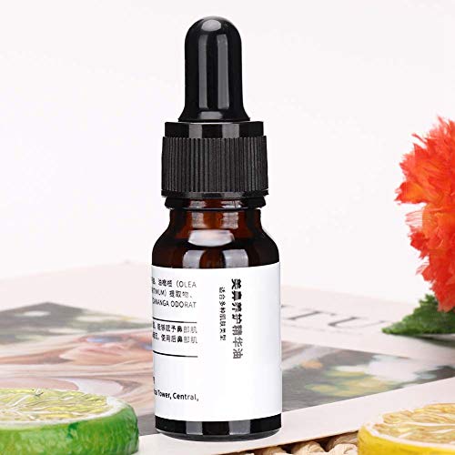 Nariz Vertical Aceite esencial Remodelación del hueso nasal Aceite esencial Magia Nariz Levantamiento Levantador Formador