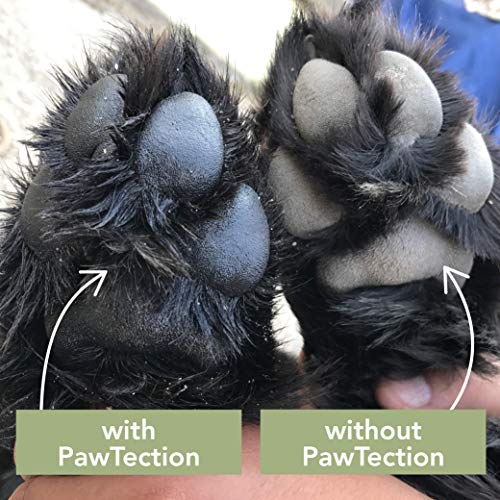 Natural Dog Company PawTection – Cera para protección de las almohadillas de las patas del perro, recomendada para andar por asfaltos calientes, con sal o nieve, producto orgánico y vegano