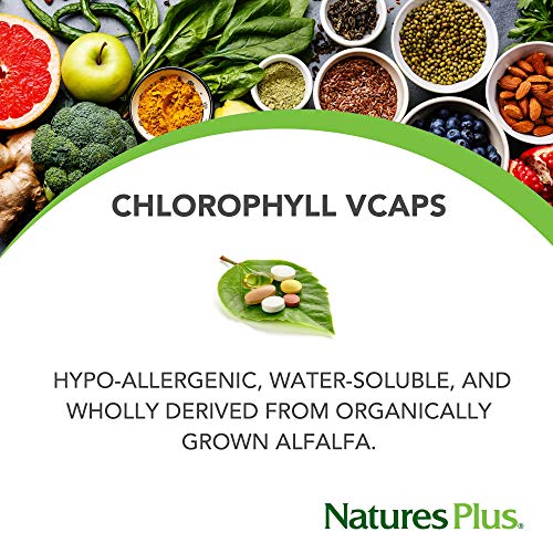 Nature's Plus - Natural Chlorophyll, 600 mg, 90 capsules