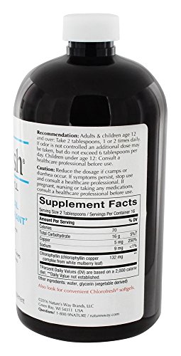 Nature's Way - Sabor Mint natural de la clorofila líquida de Chlorofresh - 16 la Florida. onza.