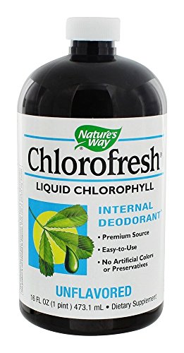 Nature's Way - Sabor Mint natural de la clorofila líquida de Chlorofresh - 16 la Florida. onza.