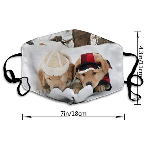 Navidad, puede lavar el polvo Código M, lavable con alambre de nariz ajustable y orejeras