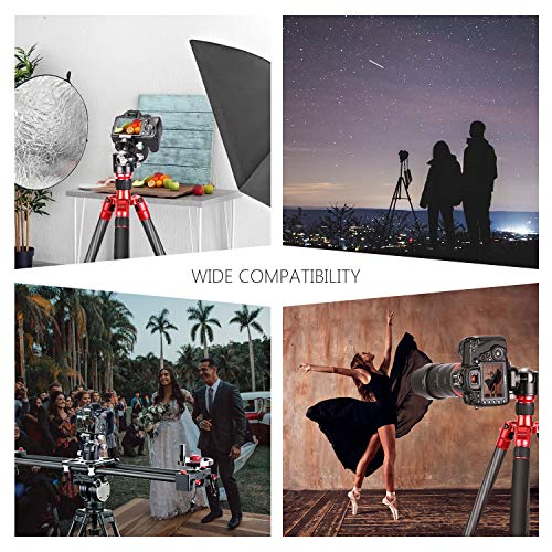 Neewer 44mm Cabezal Bola Bajo Perfil Cabezal Trípode Cámara Panorámica con Placa QR 360° y Abrazadera CNC Metal Doble Muesca en U para Cámaras DSLR Trípodes Monopie Carga 25kg Modo Vertical/Horizontal