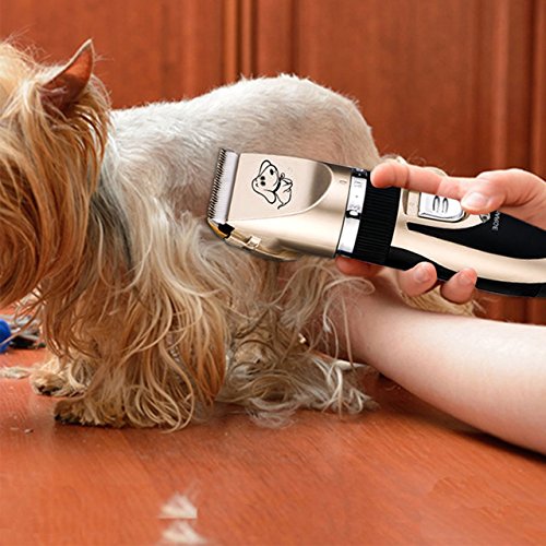 Newcomdigi Cortadoras Tranquilas de Pelo Recargables sin Cuerda para Mascotas Perros y Gatos, Botiquín de Cortapelos Profesionales para Animal Esquiladoras Inalámbricas Eléctricos Perros Clippers