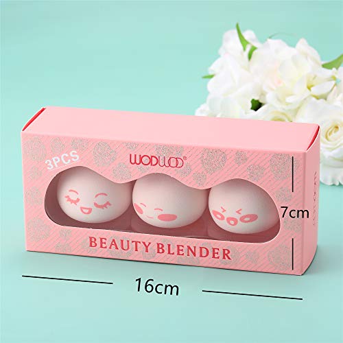 Nicute Juego de esponjas de maquillaje para base de maquillaje, juego de esponjas de maquillaje 3 en 1