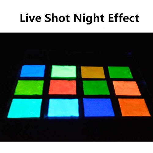 niumanery 14 Colors Acrylic Paint Glow in The Dark Gold Glowing Paint Luminous Pigment Flu