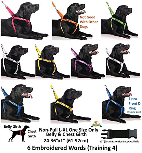 No alimentar (el perro está en una dieta/tiene alergias alimentarias) púrpura codificado por color S-M L-XL collar de perro previene accidentes al advertir a otros de su perro por adelantado (S-M)