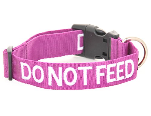 No alimentar (el perro está en una dieta/tiene alergias alimentarias) púrpura codificado por color S-M L-XL collar de perro previene accidentes al advertir a otros de su perro por adelantado (S-M)