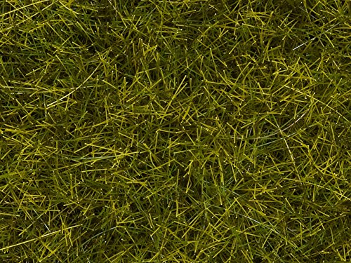 NOCH-07110 Hierbas Silvestres XL “Prado”, Color Verde (07110)