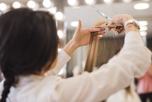 NowelNowel - Tijeras profesionales de acero inoxidable de 16,5 cm para cortar el pelo - Tijeras de peluquería profesional - Tijeras de peluquería - Tijeras de corte de pelo, Azul, 1.00[set de ]