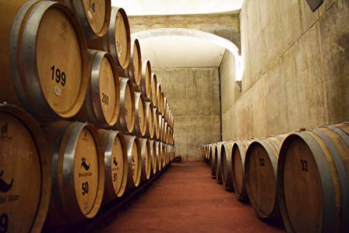 ¡OFERTA! // Cueva Llana Syrah Eco 2019, Vino Tinto Ecológico, DOP Manchuela, Caja de 6 botellas de 75cl