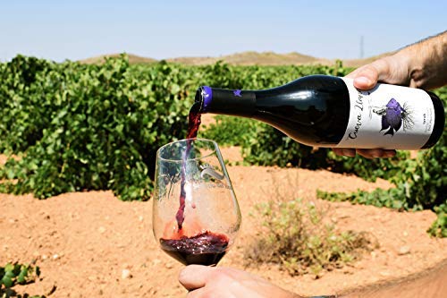 ¡OFERTA! // Cueva Llana Syrah Eco 2019, Vino Tinto Ecológico, DOP Manchuela, Caja de 6 botellas de 75cl