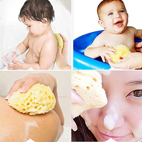 OUNONA Esponja de baño Griego Natural Algas Marinas Esponja Honeycomb Wash Cara Bebé Baño Esponja 1Pcs