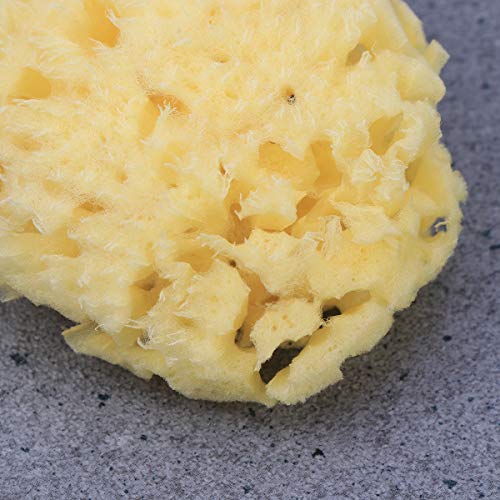 OUNONA Esponja de baño Griego Natural Algas Marinas Esponja Honeycomb Wash Cara Bebé Baño Esponja 1Pcs