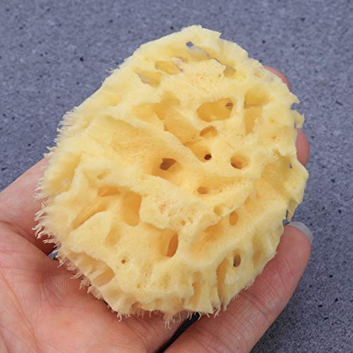 OUNONA Esponja de baño Griego Natural Algas Marinas Esponja Honeycomb Wash Cara Bebé Baño Esponja 1Pcs