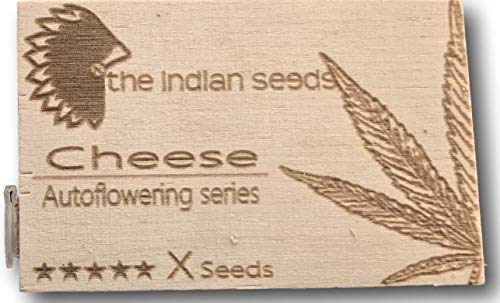 Pack 3 semillas CBD auto.