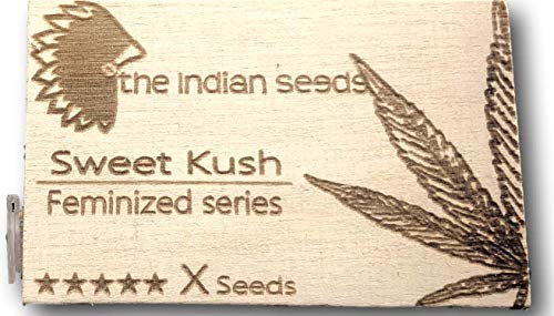 Pack 3 semillas CBD auto.