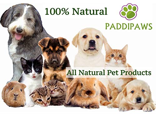 PADDIPAWS Champú para Perros 100% Natural antifúngico y Antibacteriano – Infecciones de levadura, tiña, Dermatitis, pioderma – Ingredientes Naturales Seguros – sin parabenos y SLS