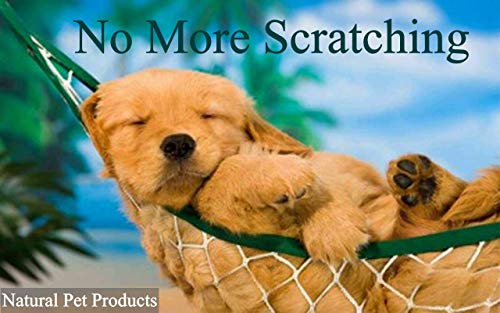 PADDIPAWS Champú para Perros 100% Natural antifúngico y Antibacteriano – Infecciones de levadura, tiña, Dermatitis, pioderma – Ingredientes Naturales Seguros – sin parabenos y SLS