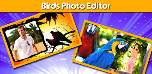 Pájaros Photo Editor