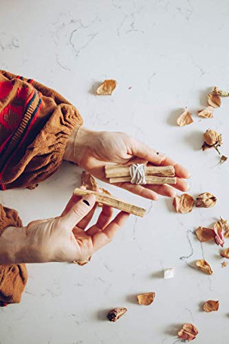 Palo Santo by Carner Barcelona Eau De Parfum Spray 3.4 oz / 100 ml (Women)