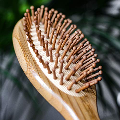 Pandoo cepillo de bambú con cerdas naturales - Vegano, respetuoso del medio ambiente - Cepillo natural con cerdas de bambú para cabello naturalmente bello para hombres, mujeres y niños - desenredante