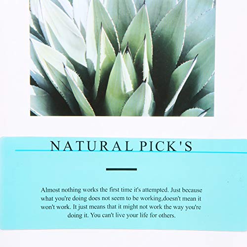 Paquete de 16 tiras guiadas de lectura para resaltar, superposiciones de colores, regla de seguimiento de lectura para niños, personas dislexias(8 tamaños estándar y 8 tamaños grandes)