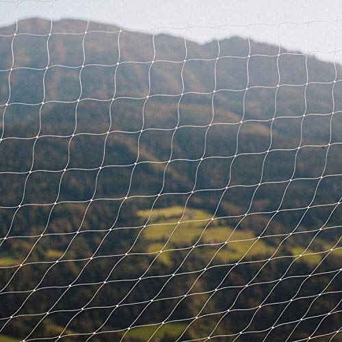 Pawise - Red de protección para Gatos, Transparente