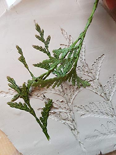 Pébéo 766302 Modelado Arcilla sin cocción Bianca, Pan de 1,5 kg