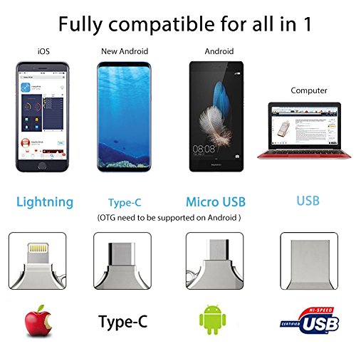Pendrive para iPhone y iPad, 128GB Memoria USB 4 en 1 con Tipo C Micro USB Expansión de Memoria para Android, Macbook, PC - USB 2.0 Plata