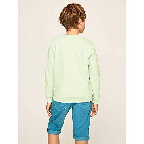 Pepe Jeans Cameron Sudadera, Verde (613menthol 613), 4-5 años (Talla del Fabricante: 4) para Niños