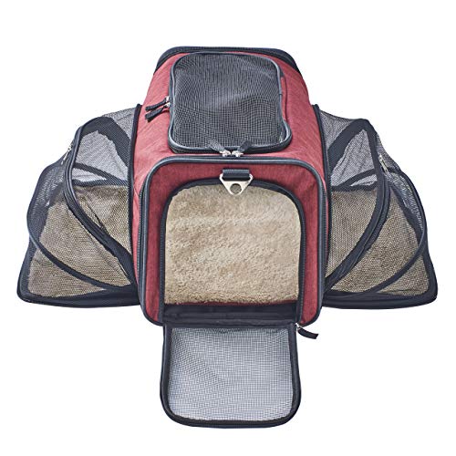 Pet Peppy Transportín para mascotas, aprobado por las compañías aéreas, de calidad prémium, ampliable por dos lados, diseñado para gatos, perros, gatitos y perritos, muy espacioso y blando