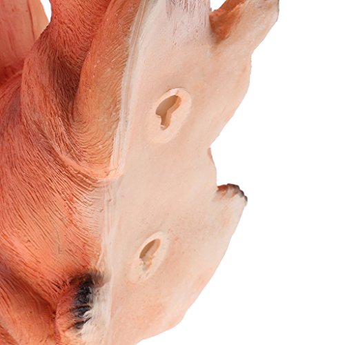 PETSOLA 1 Pieza Estatua Figura Ardilla/Koala Adorno para Jardín Decoración de Mesa de Oficina - Ardilla 21x8.3x16.2 cm