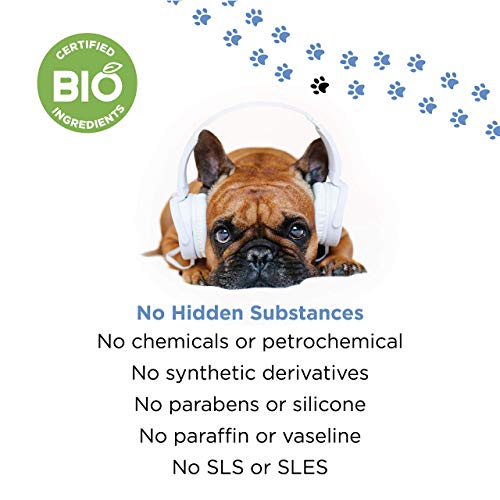 PETUCHI Bálsamo Curativo de Nariz para Perros; Disenfecta, Trata e Hidrata Nariz Agrietada y Seca; 100% Bio; 100ml