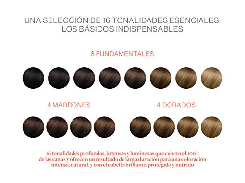 Phyto Phyto Color 477 CastañO Marron Intenso - 1 unidad