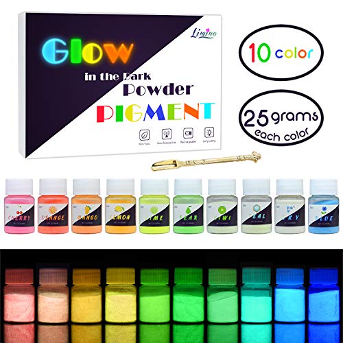 Pigmento de Resina Epoxi Fluorescente - 10 Colores x25g Resina Epoxídica Pigmento de Polvo Luminoso para Resin, Slime, Uñas - Glow In The Dark Pigment Luminiscentes Powder para Nail, Pintura, Acrílico