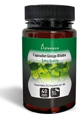 Plameca Ginkgo Biloba Capsudiet 40Cap. 100 g