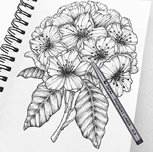 Plumas de Línea Fina,Fineliner Plumas Clasificado Punta Tamaños Negro 18 conjunto Rotuladores de Punta Fina con Pincel para Escritura Sketching Dibujo Entintando